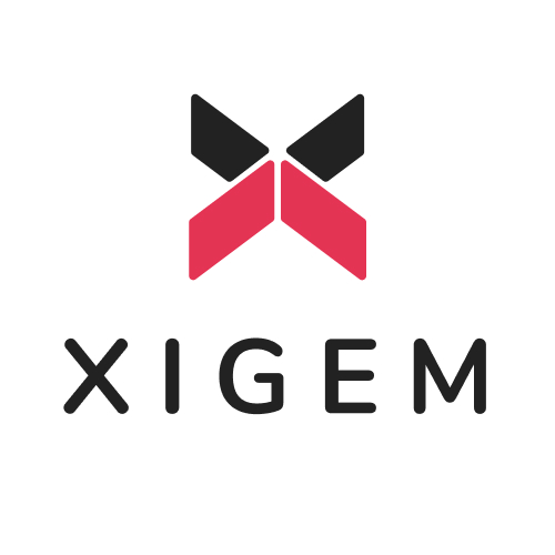 Xigem Technologies
